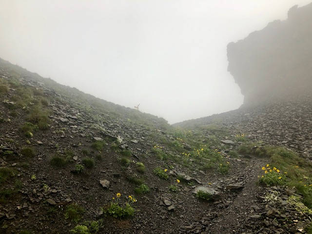image8.jpeg