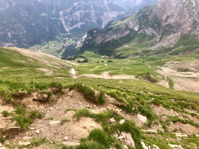 image5.jpeg