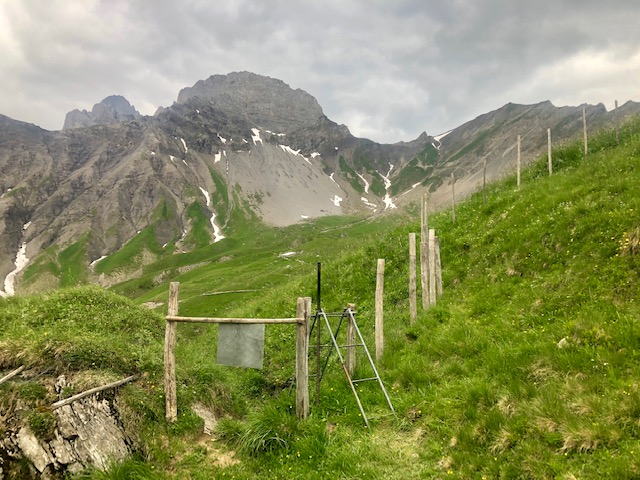 image6.jpeg