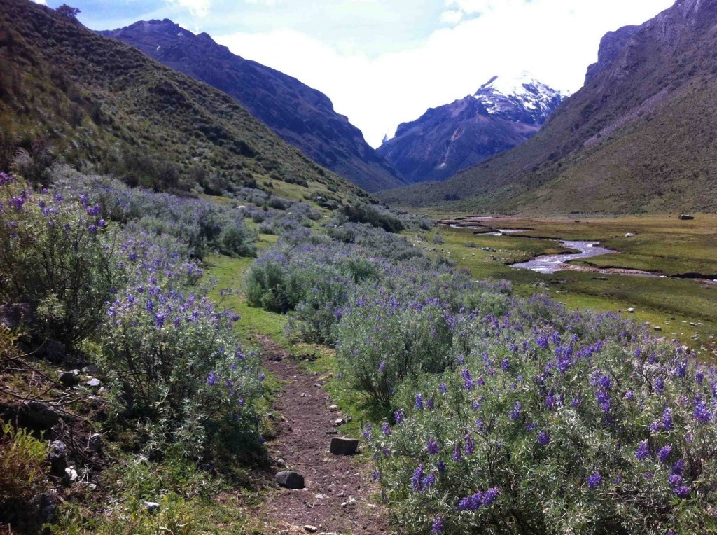 Peru: Trek údolím&nbsp;Quilcayhuanca