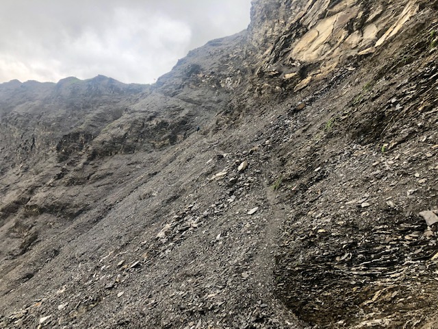 image7.jpeg